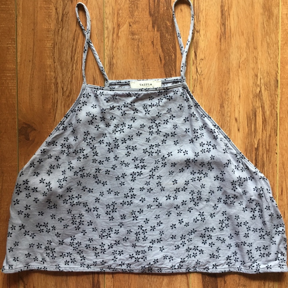 Aritzia Talula crop top xxs -like new